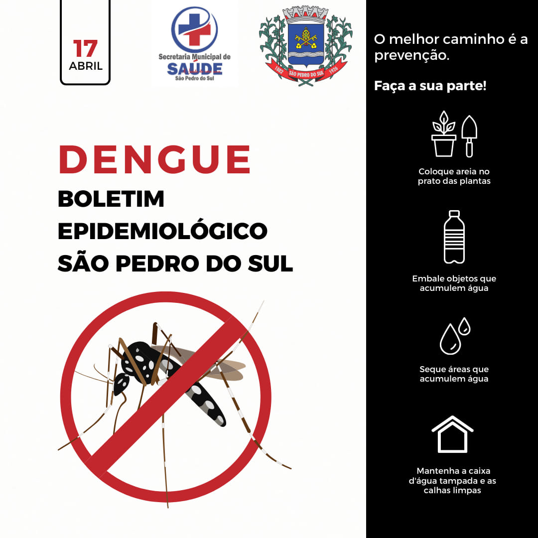arte dengue